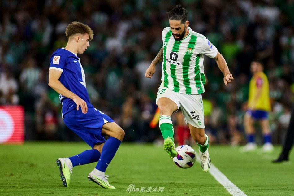 作为中国篮 作为中国篮